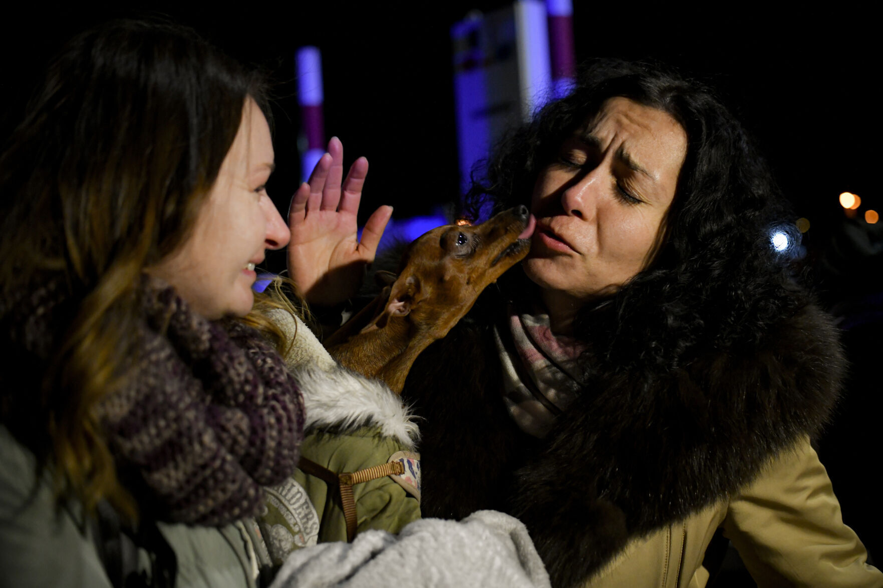 Russia Ukraine War Pets Photo Gallery